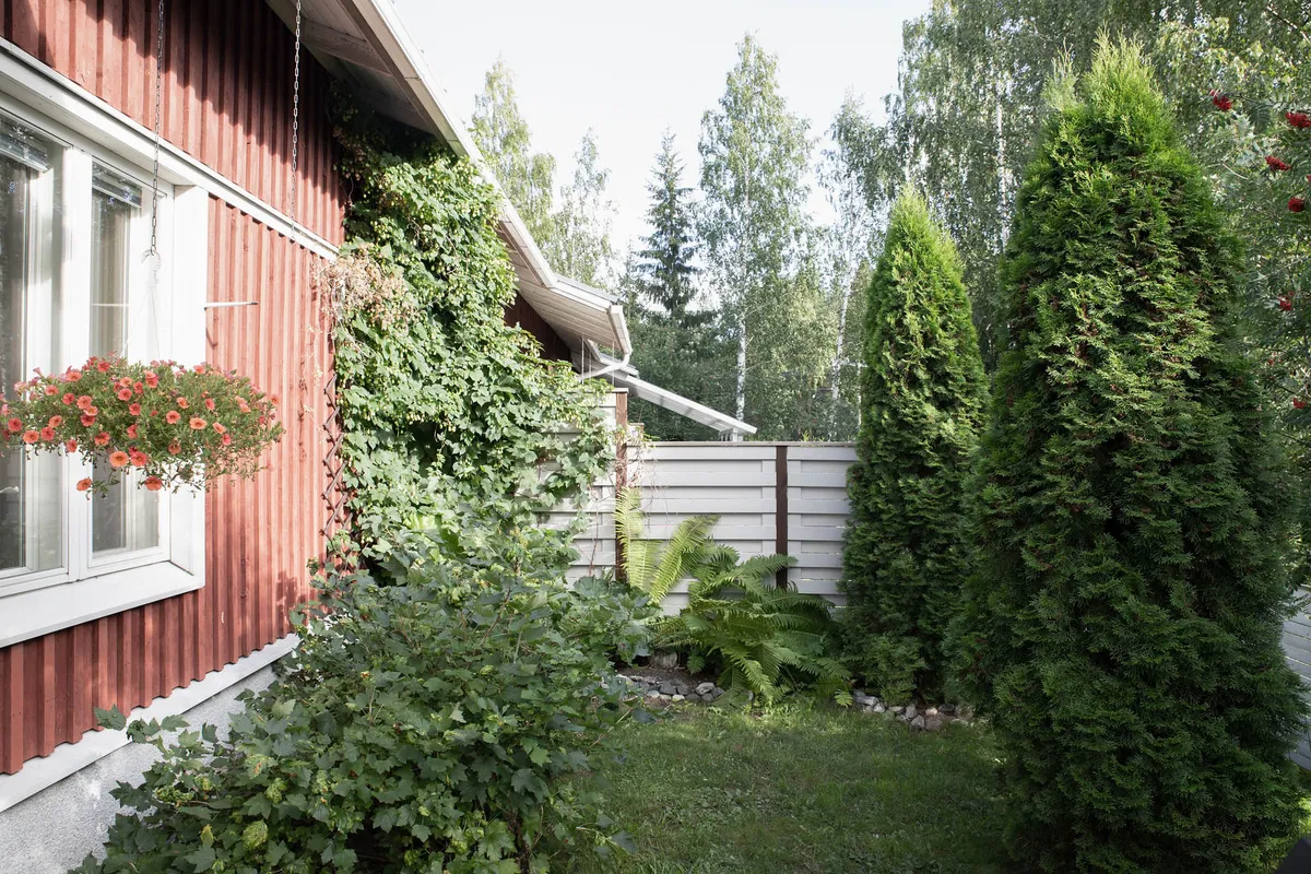Hyresbostad på Siilinjärvi i siilinjarvi