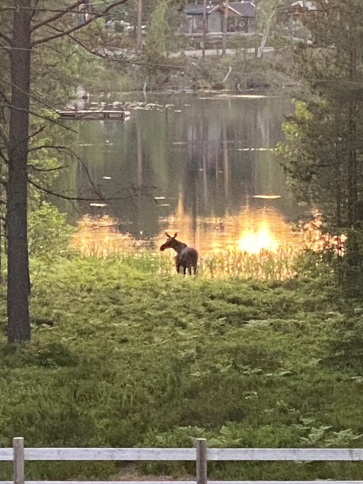 Hyresbostad på Ingarö i ingaro