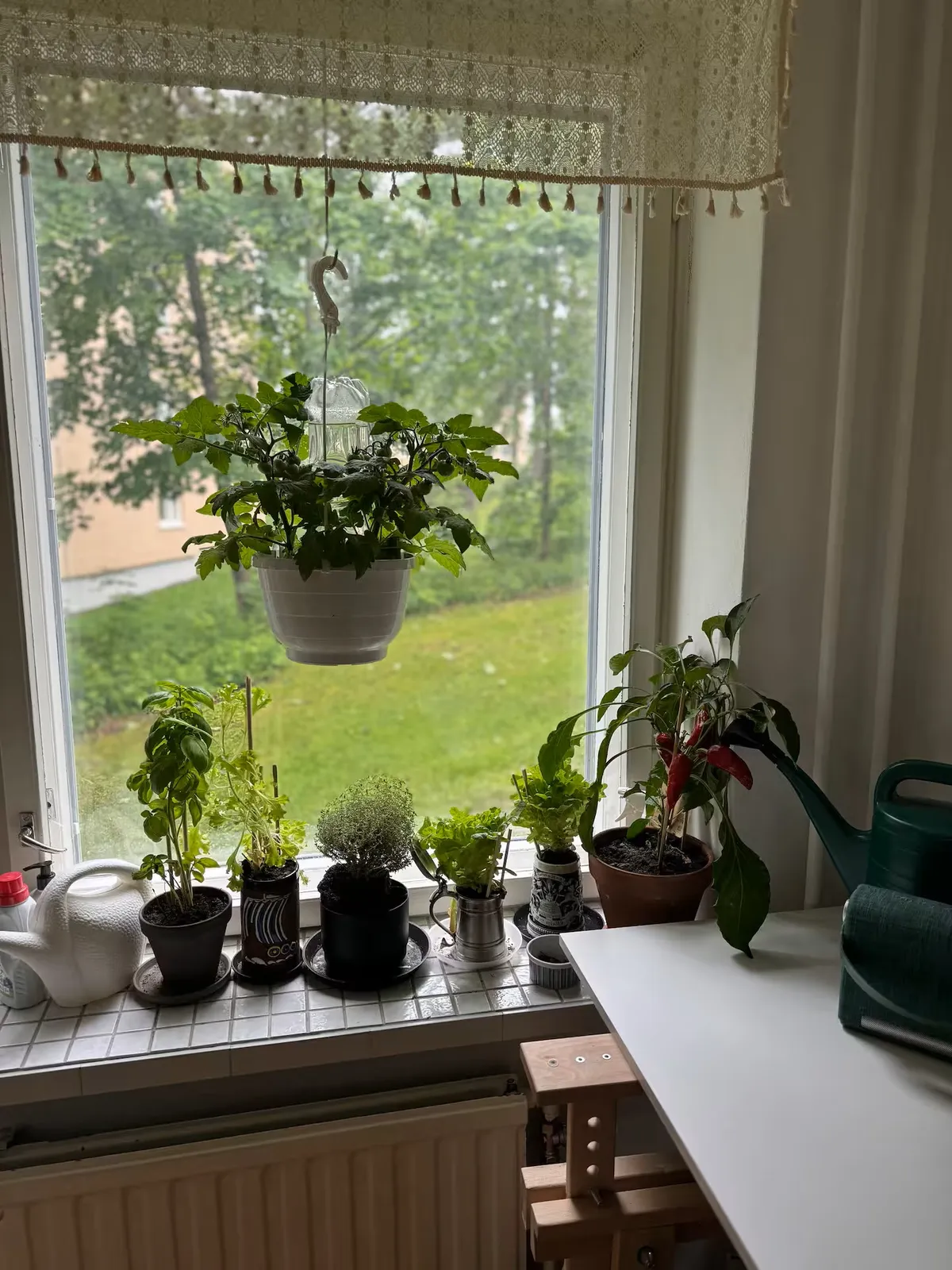 Hyreslägenhet på Helsinki i helsinki