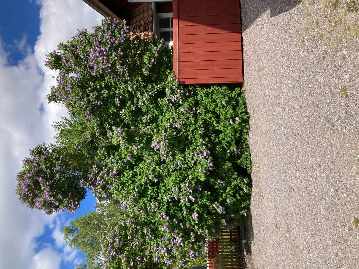Hyresbostad på Norrköping i norrkoping