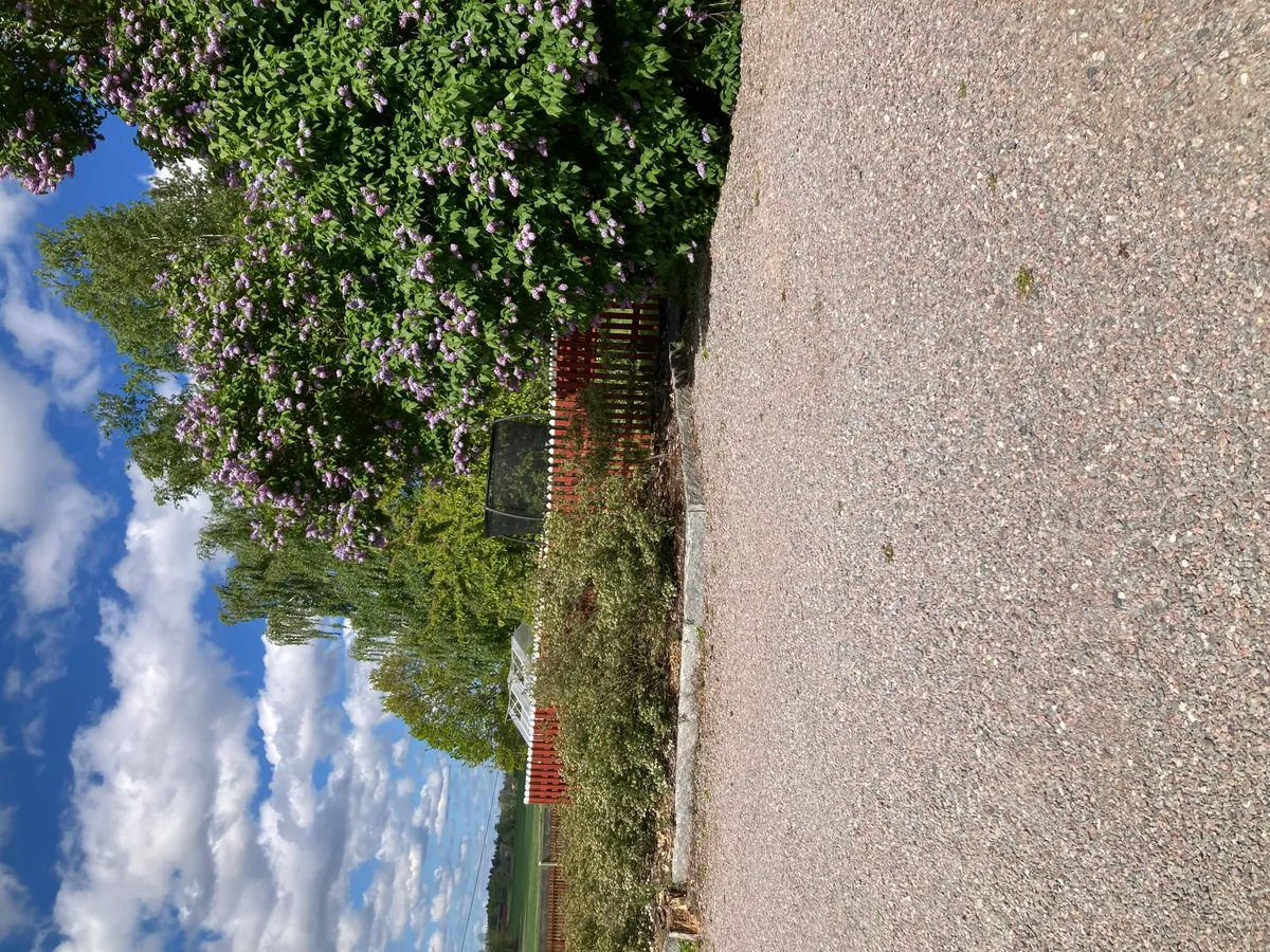 Hyresbostad på Norrköping i norrkoping