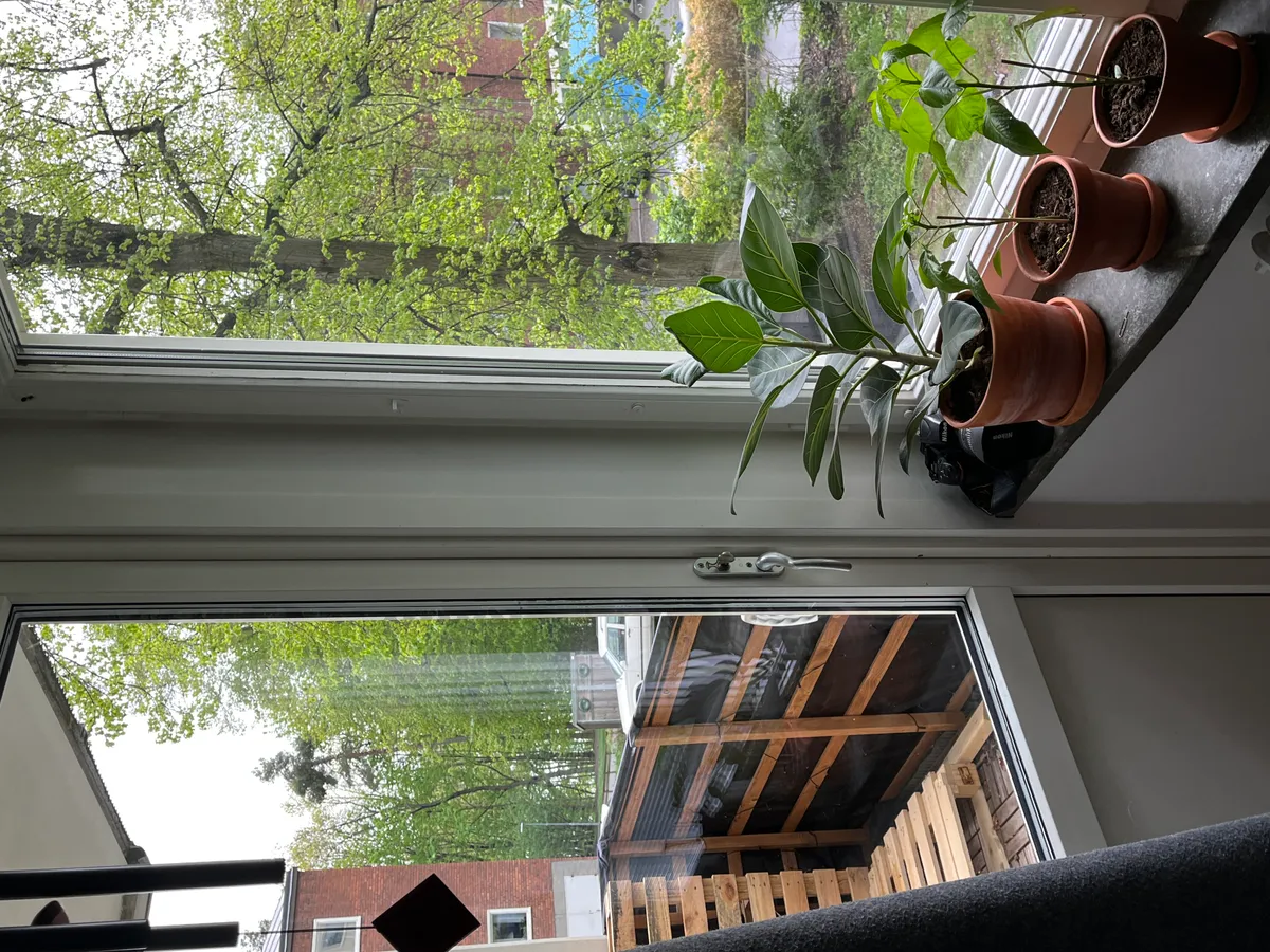 Hyreslägenhet på Lidingö i lidingo