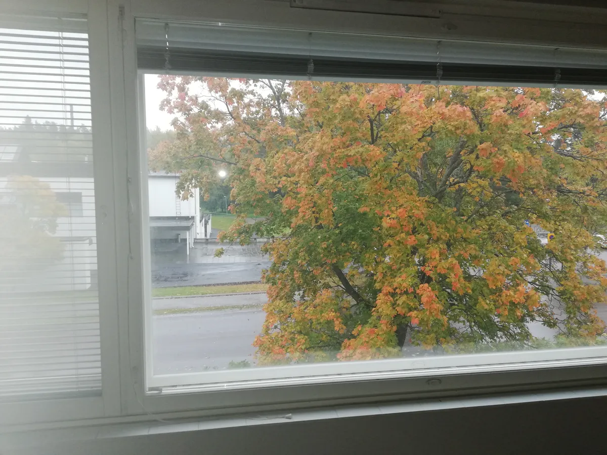 Hyreslägenhet på Jyväskylä i jyvaskyla