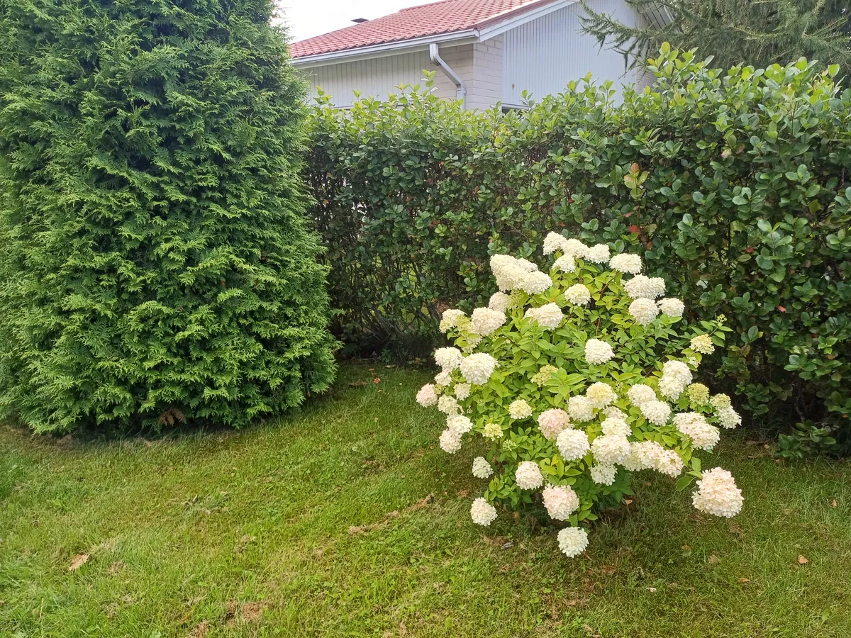 Hyresbostad på Pori i pori