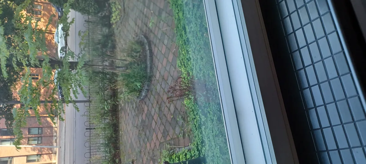Hyreslägenhet på Helsinki i helsinki