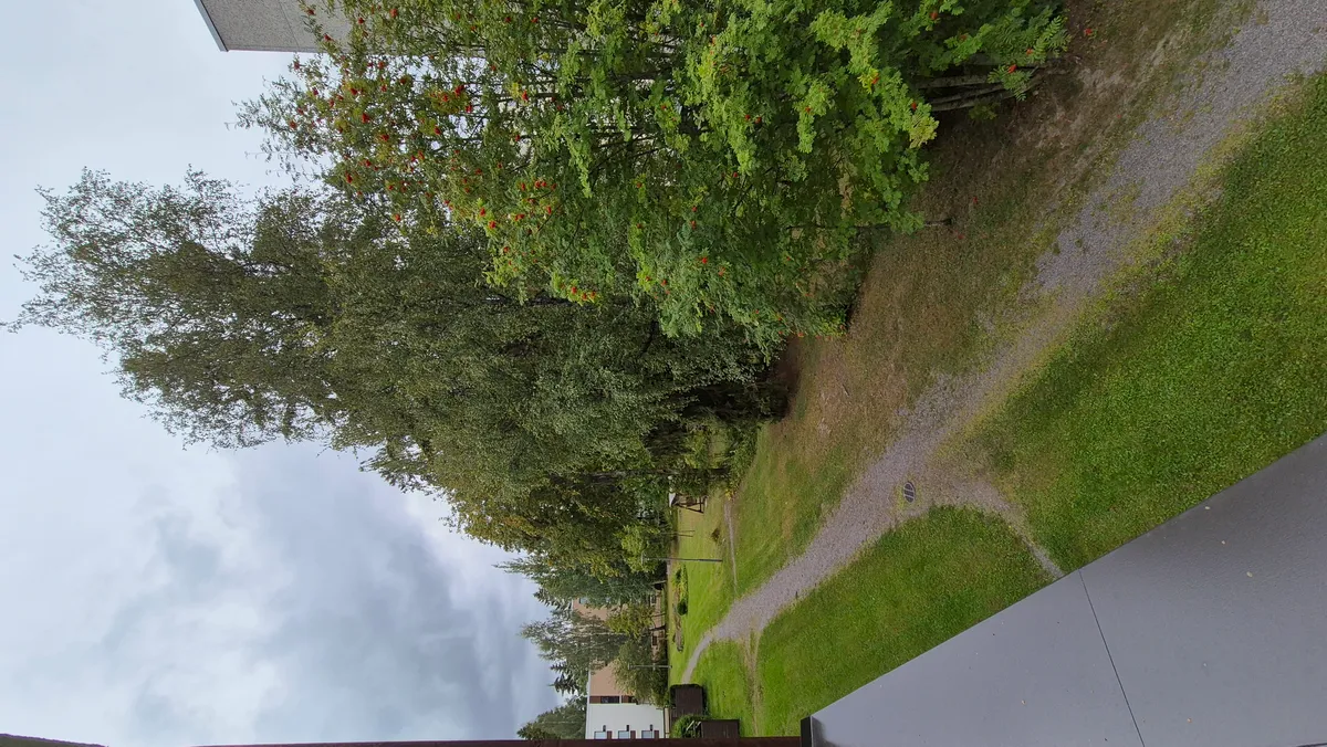Hyreslägenhet på Lahti i lahti