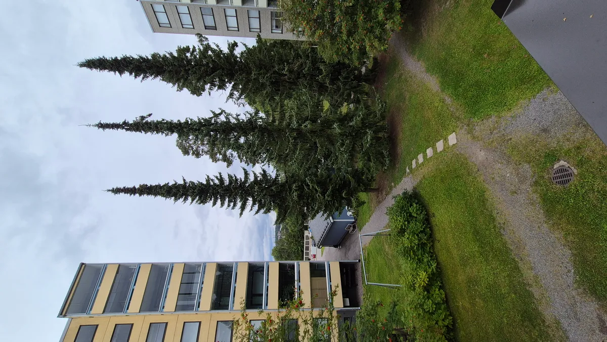 Hyreslägenhet på Lahti i lahti