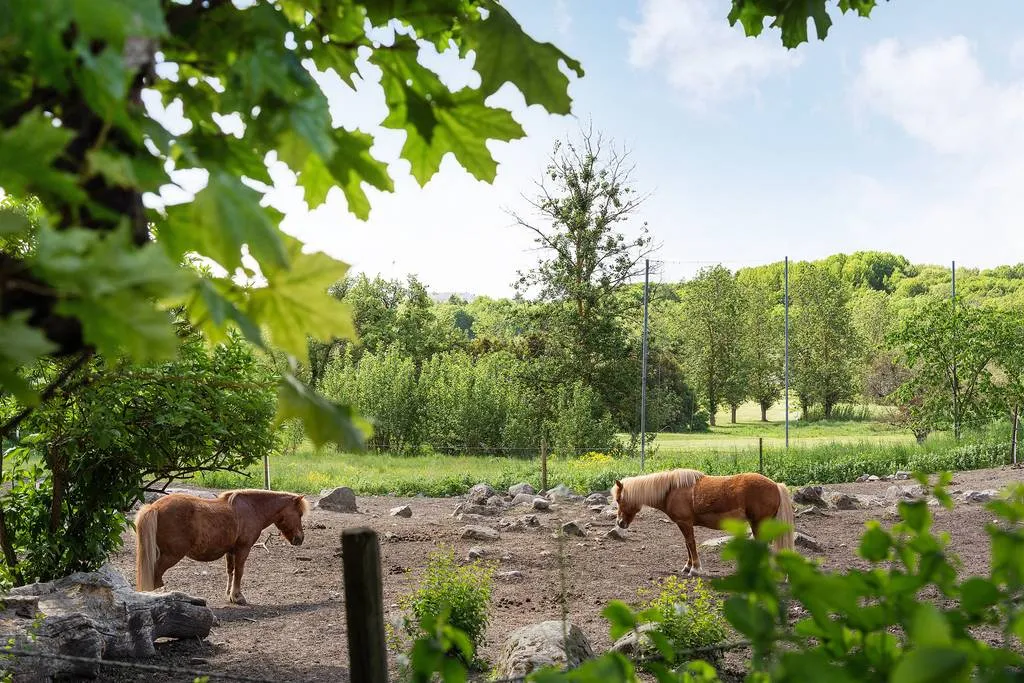 Hyreslägenhet på Sundbyberg i sundbyberg