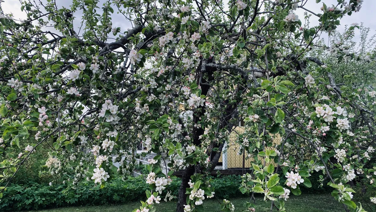 Hyresbostad på Västerås i vasteras