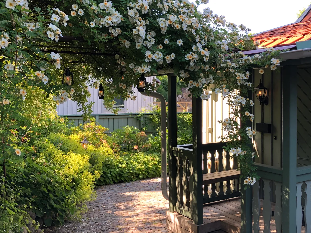 Hyresbostad på Uddevalla i uddevalla