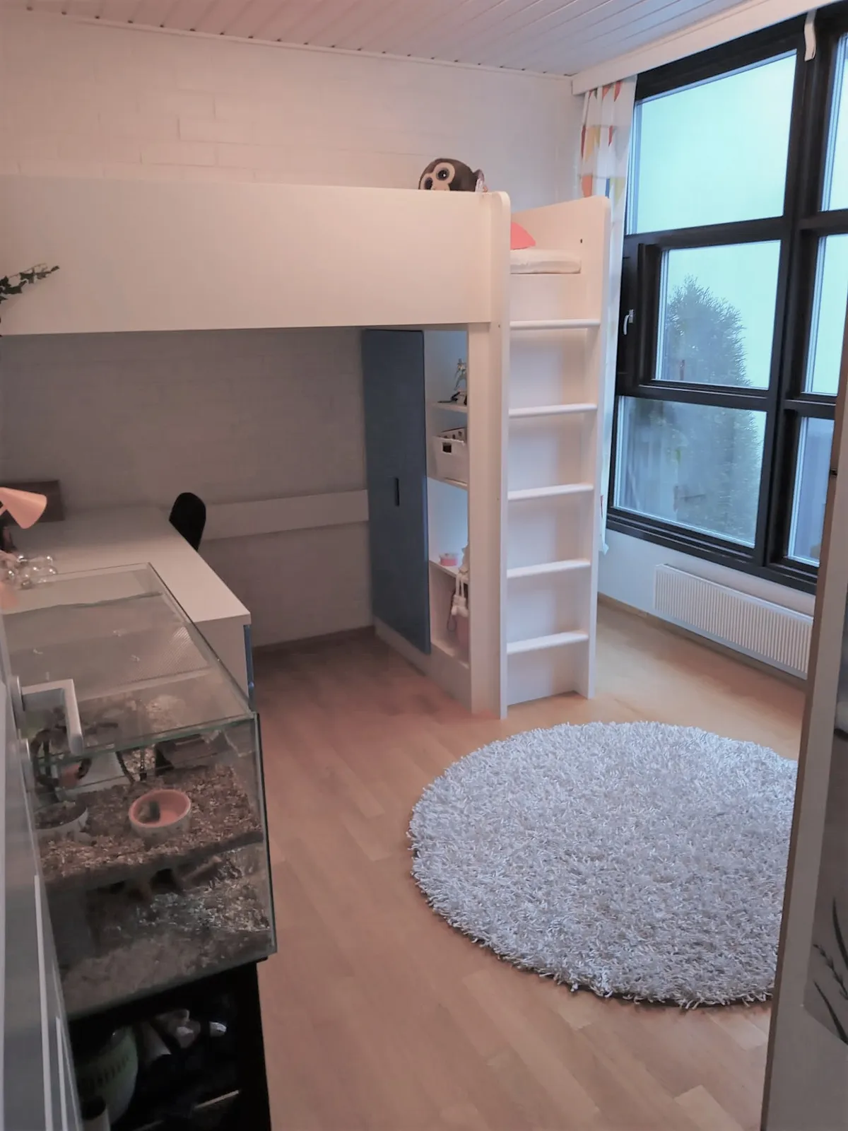 Hyresbostad på Helsinki i helsinki
