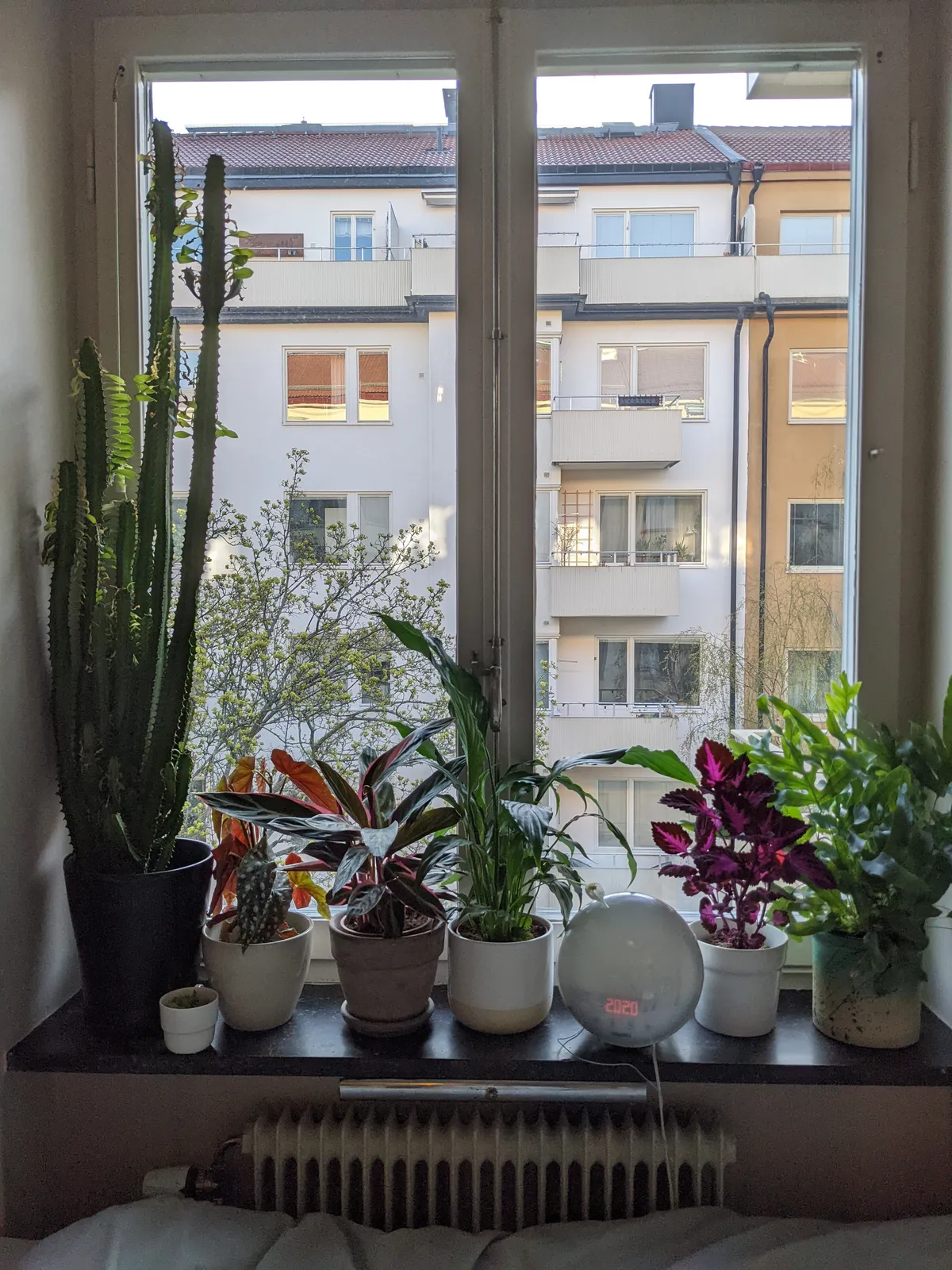 Hyreslägenhet på Stockholm i stockholm