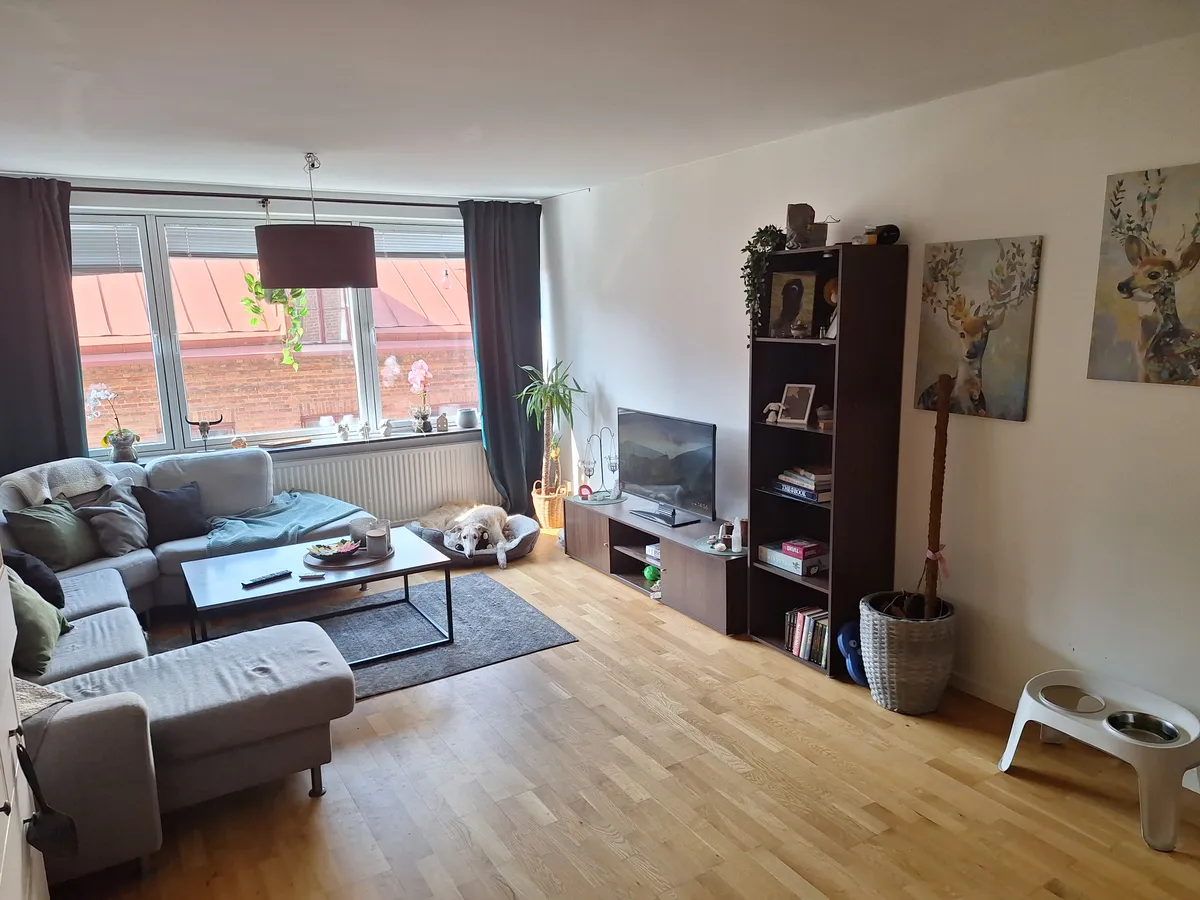 Hyreslägenhet på Halmstad i halmstad