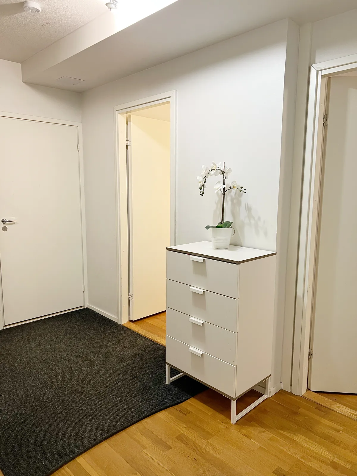Hyreslägenhet på Helsinki i helsinki