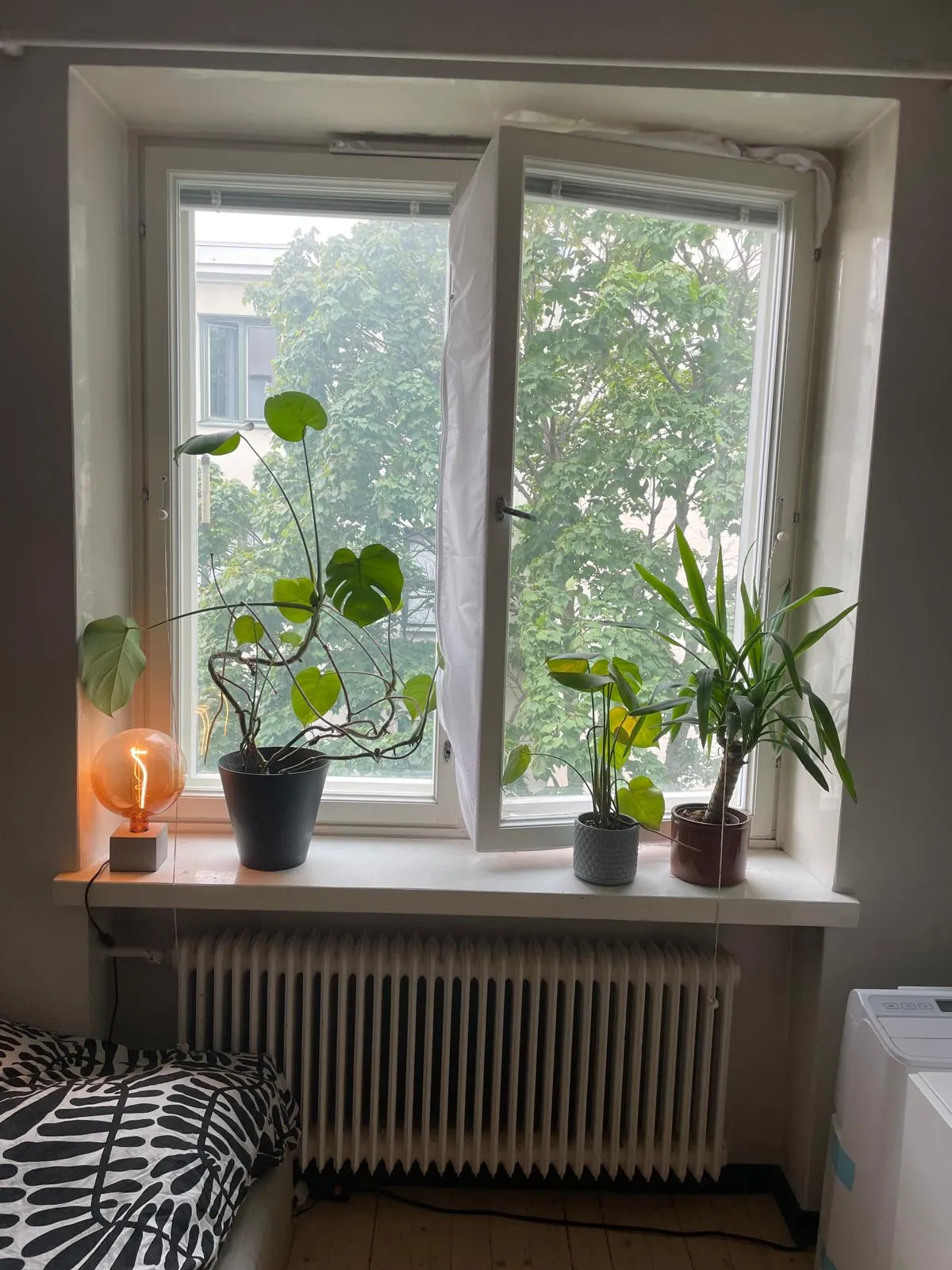 Hyreslägenhet på Helsinki i helsinki