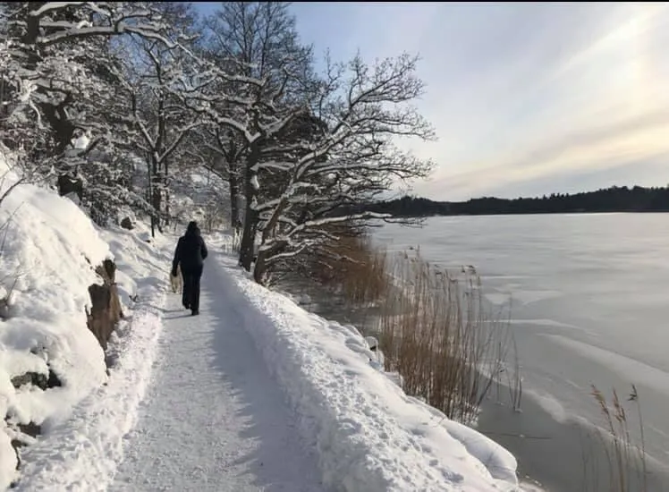 Hyreslägenhet på Danderyd i danderyd
