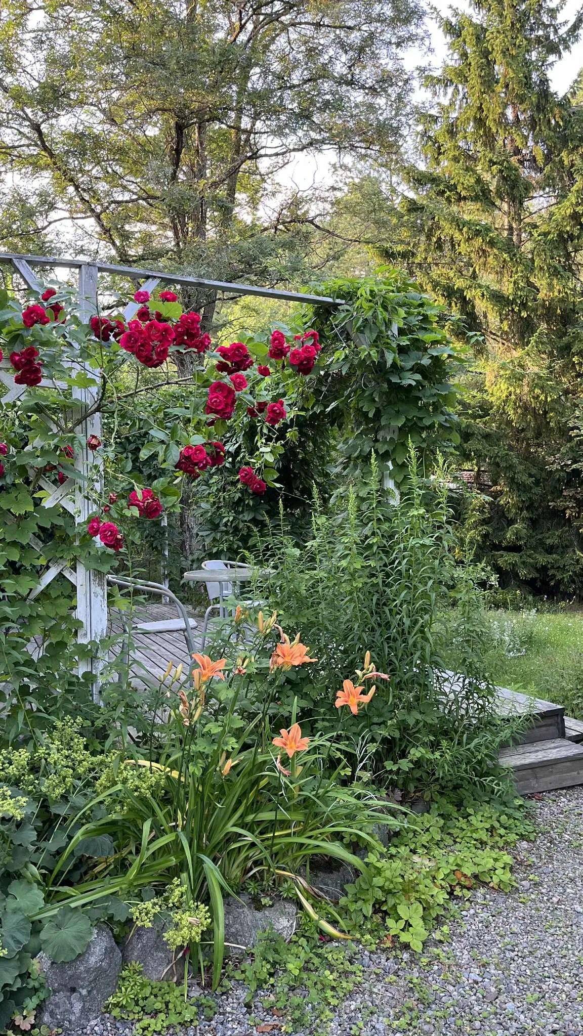 Hyresbostad på Mölnbo i molnbo
