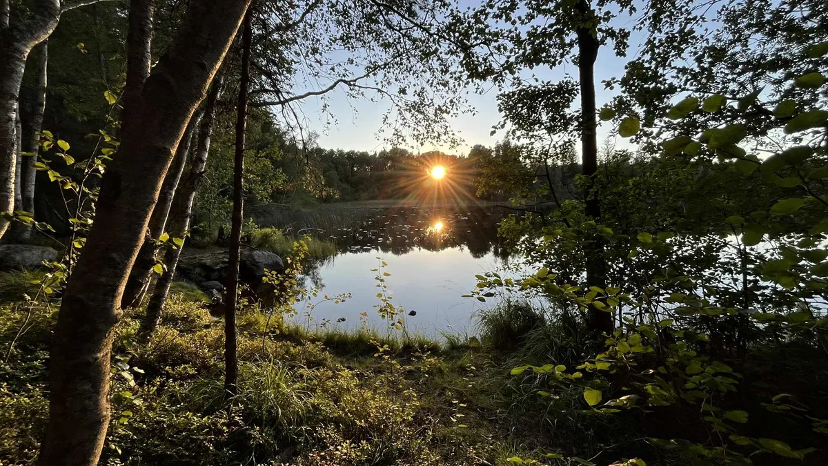 Hyresbostad på Mölnbo i molnbo