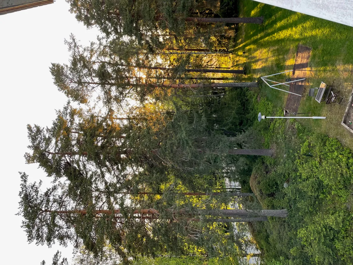 Hyreslägenhet på Kuopio i kuopio