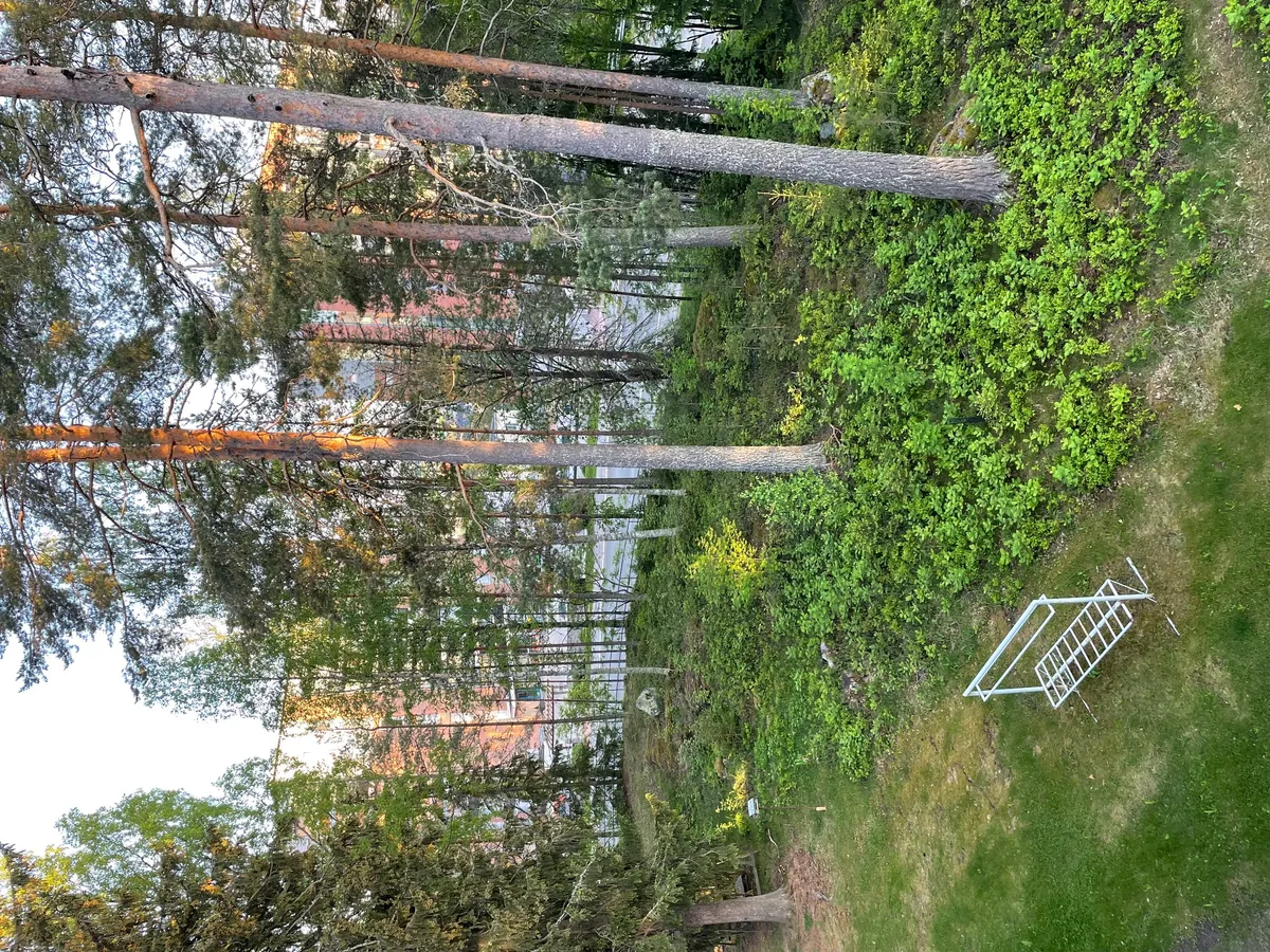 Hyreslägenhet på Kuopio i kuopio