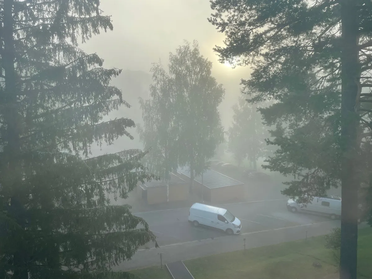 Hyreslägenhet på Kuopio i kuopio