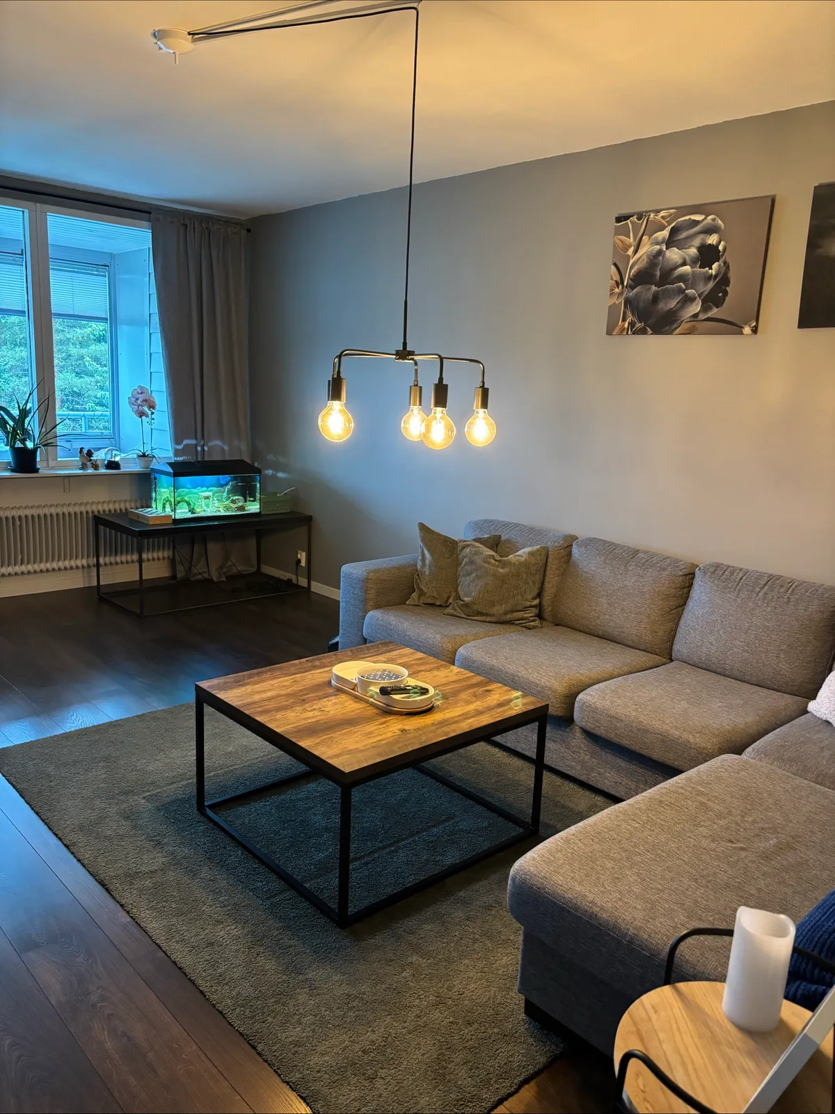 Hyreslägenhet på Skellefteå i skelleftea