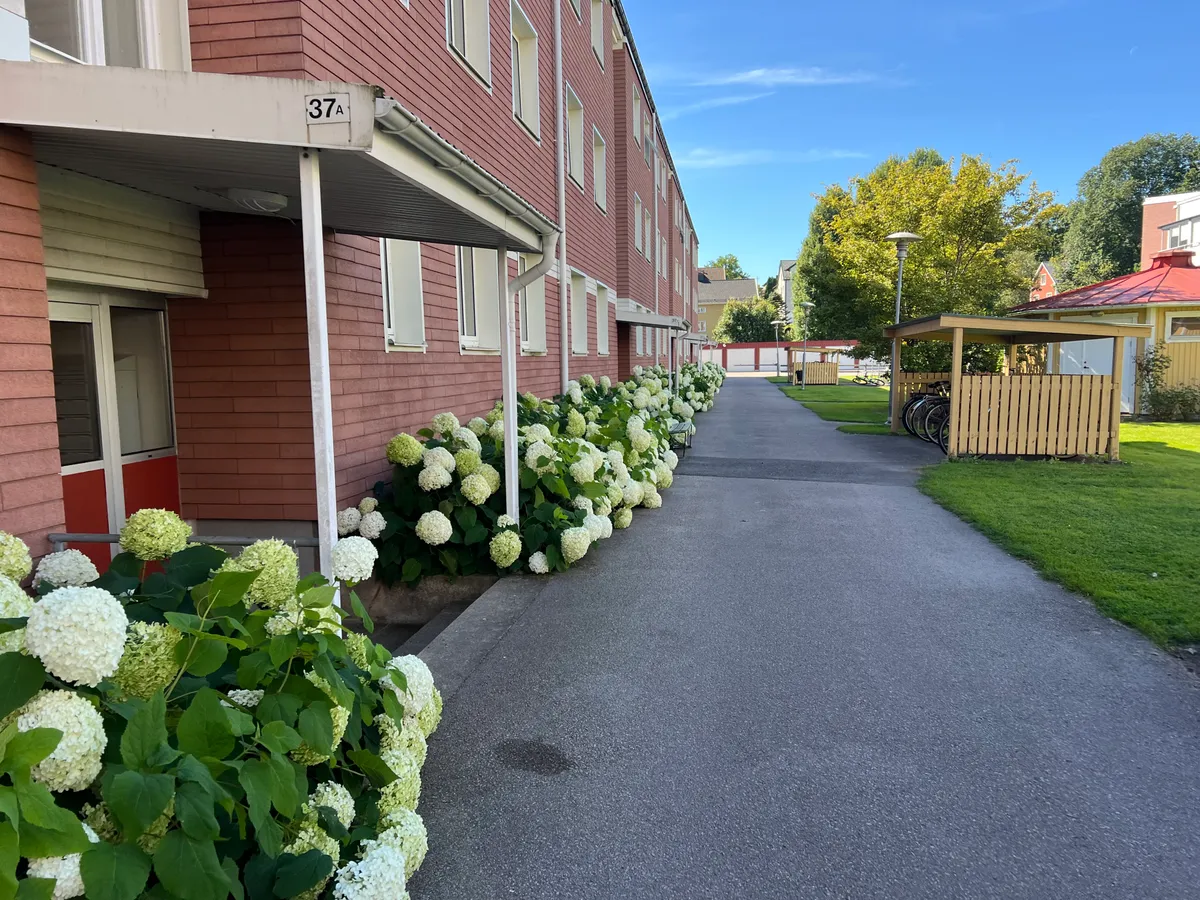 Hyreslägenhet på Växjö i vaxjo