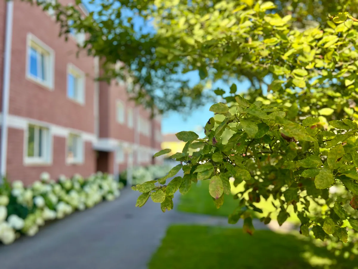 Hyreslägenhet på Växjö i vaxjo