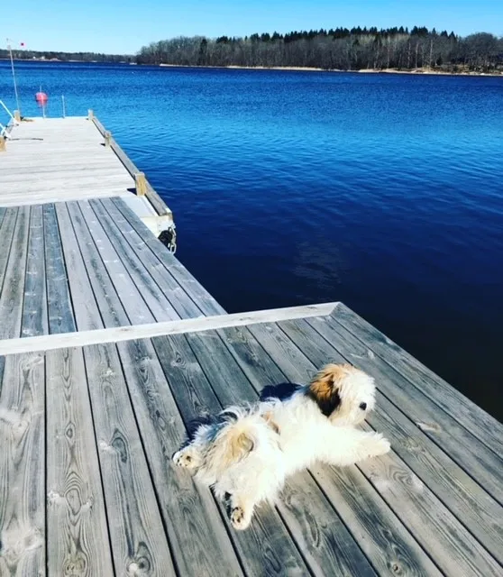 Hyresbostad på Väddö i vaddo