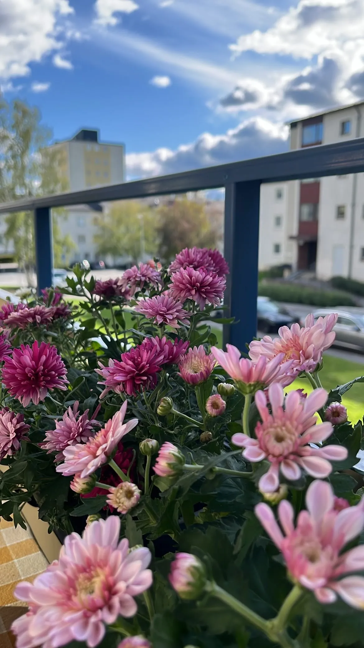 Hyreslägenhet på Sollentuna i sollentuna