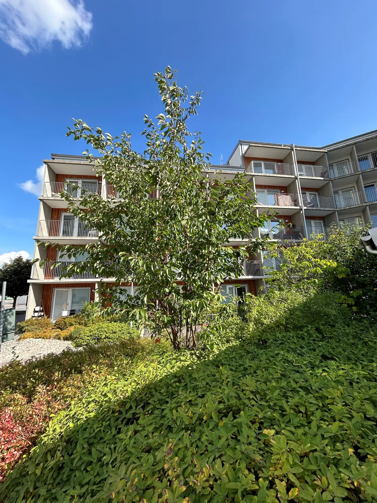 Hyreslägenhet på Västerås i vasteras
