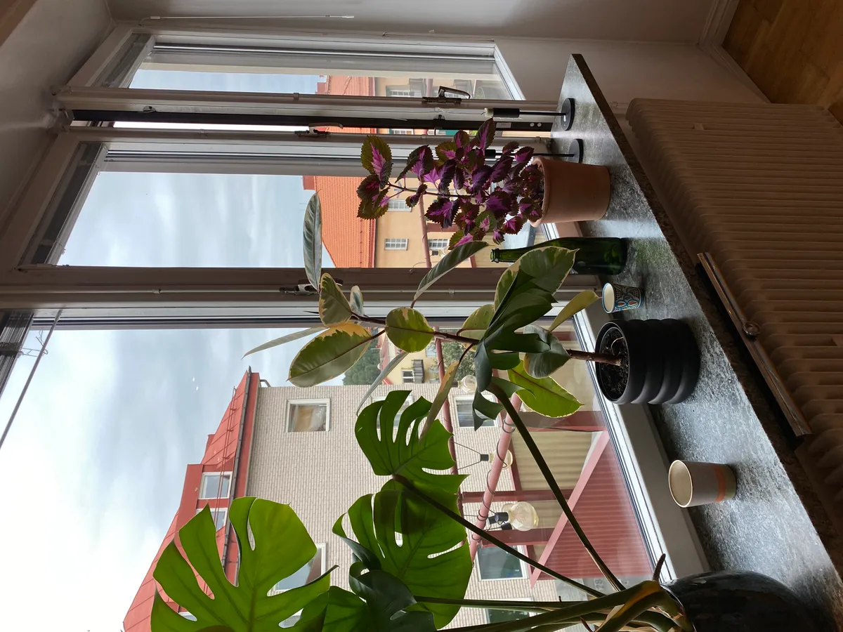 Hyreslägenhet på Stockholm i stockholm