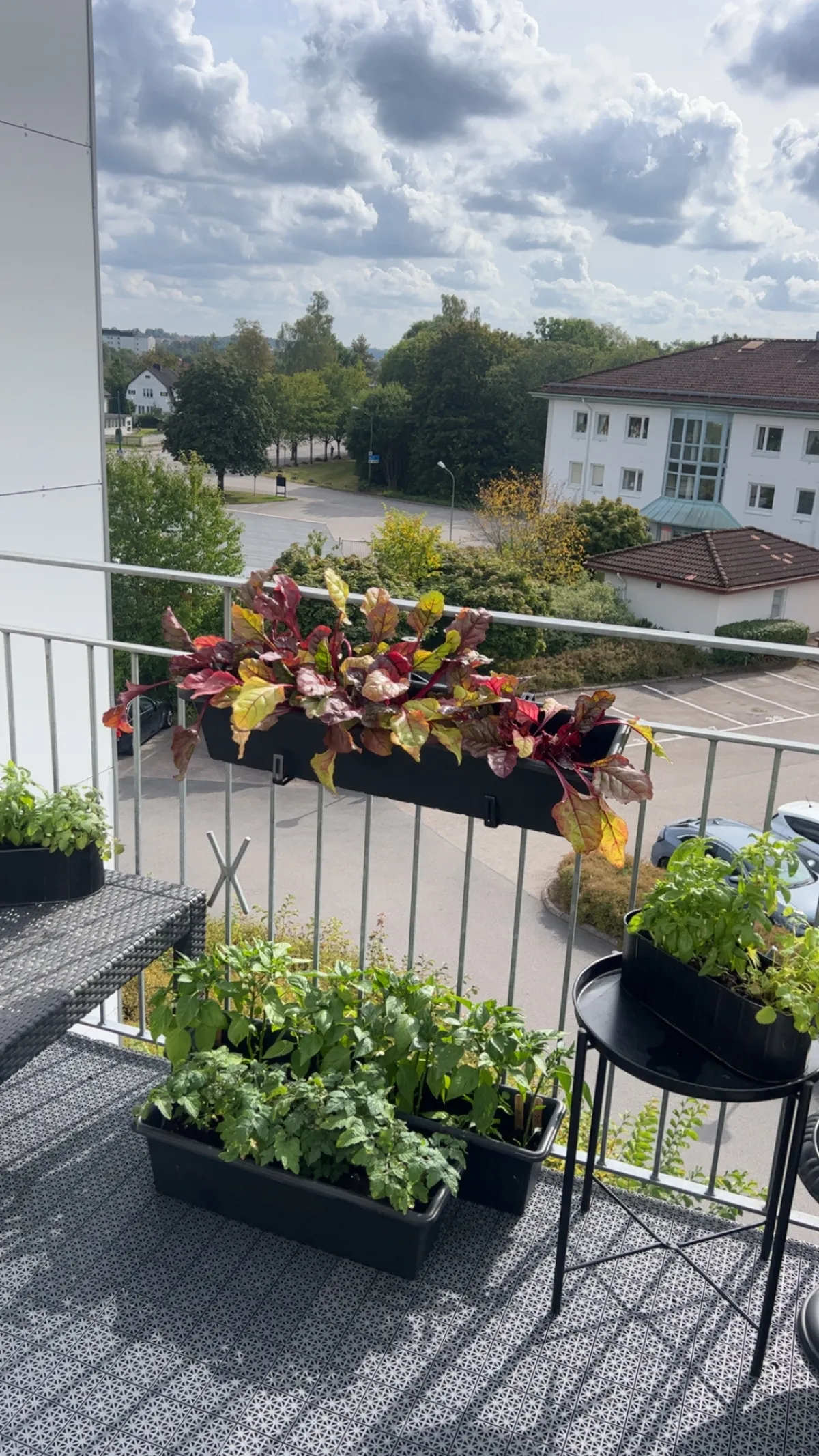 Hyreslägenhet på Borås i boras