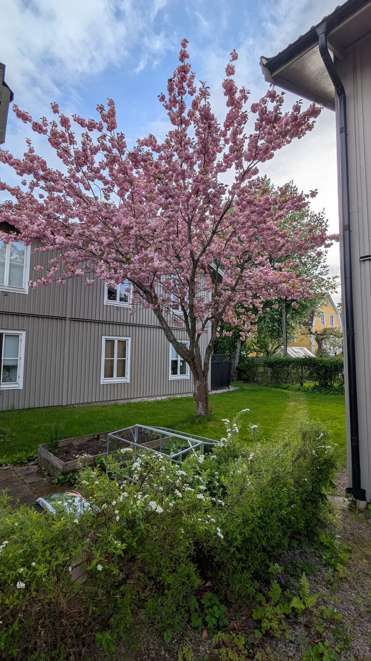 Hyreslägenhet på Karlstad i karlstad