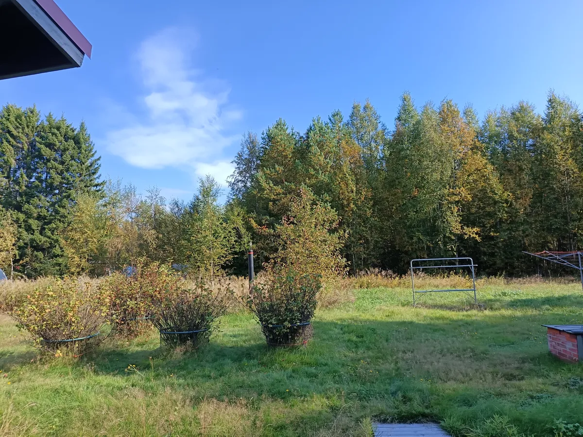 Hyresbostad på Oulu i oulu