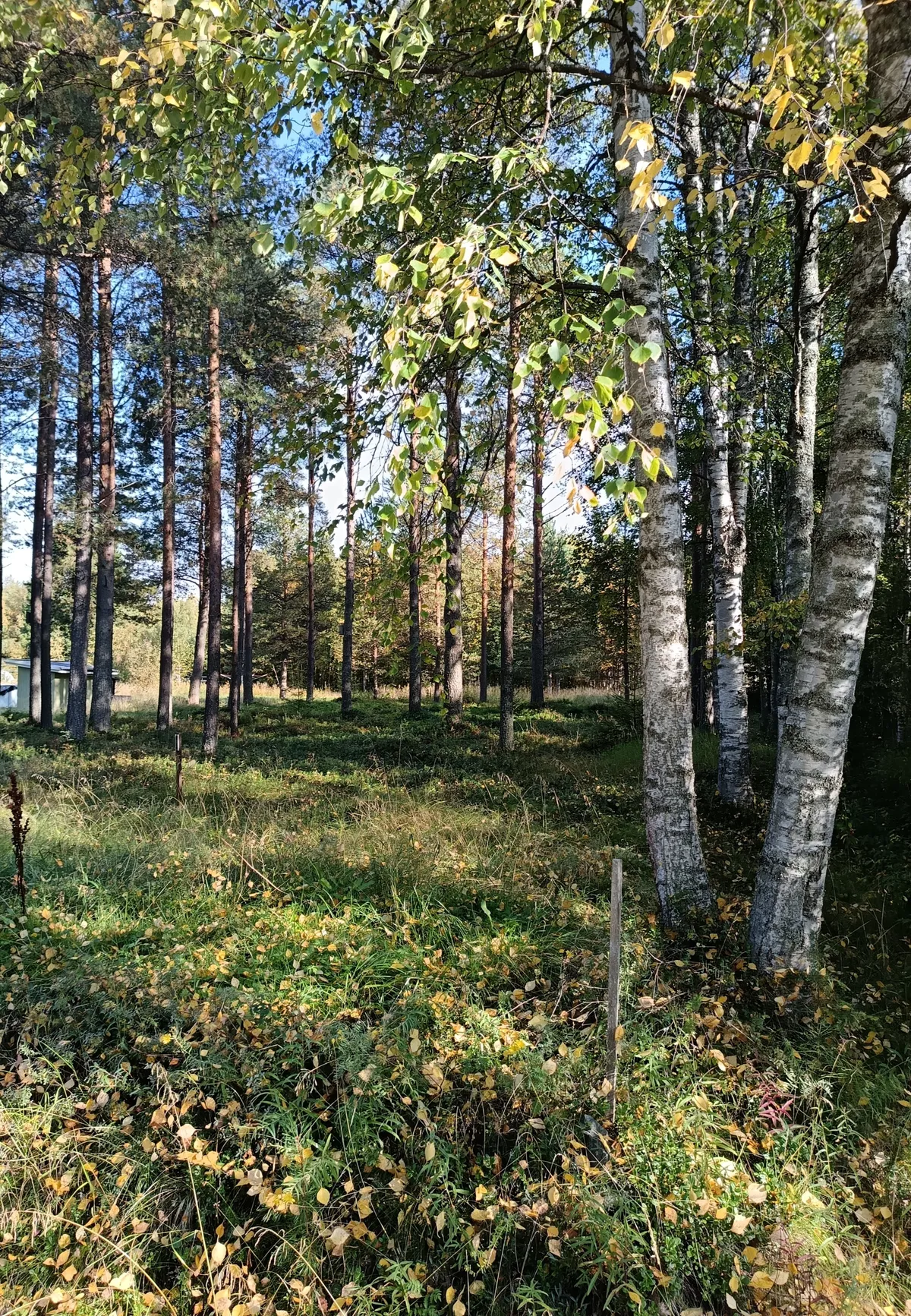 Hyresbostad på Oulu i oulu