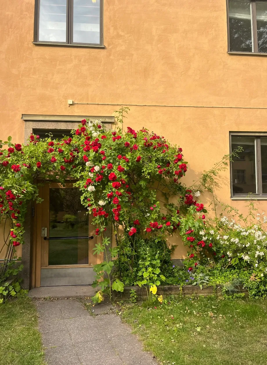 Hyreslägenhet på Hägersten i hagersten
