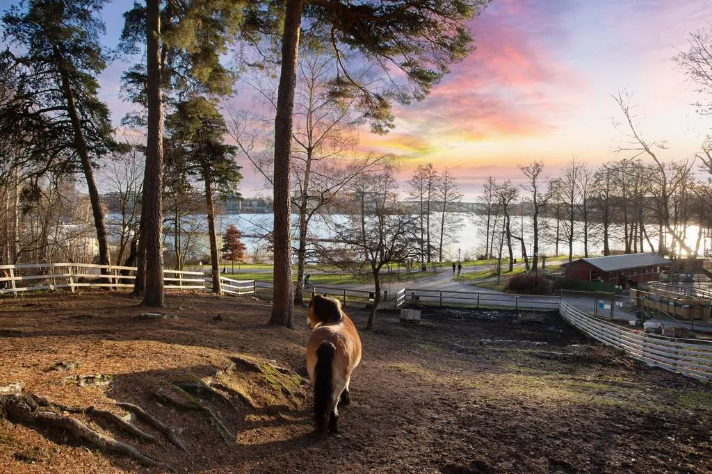 Hyreslägenhet på Solna i solna