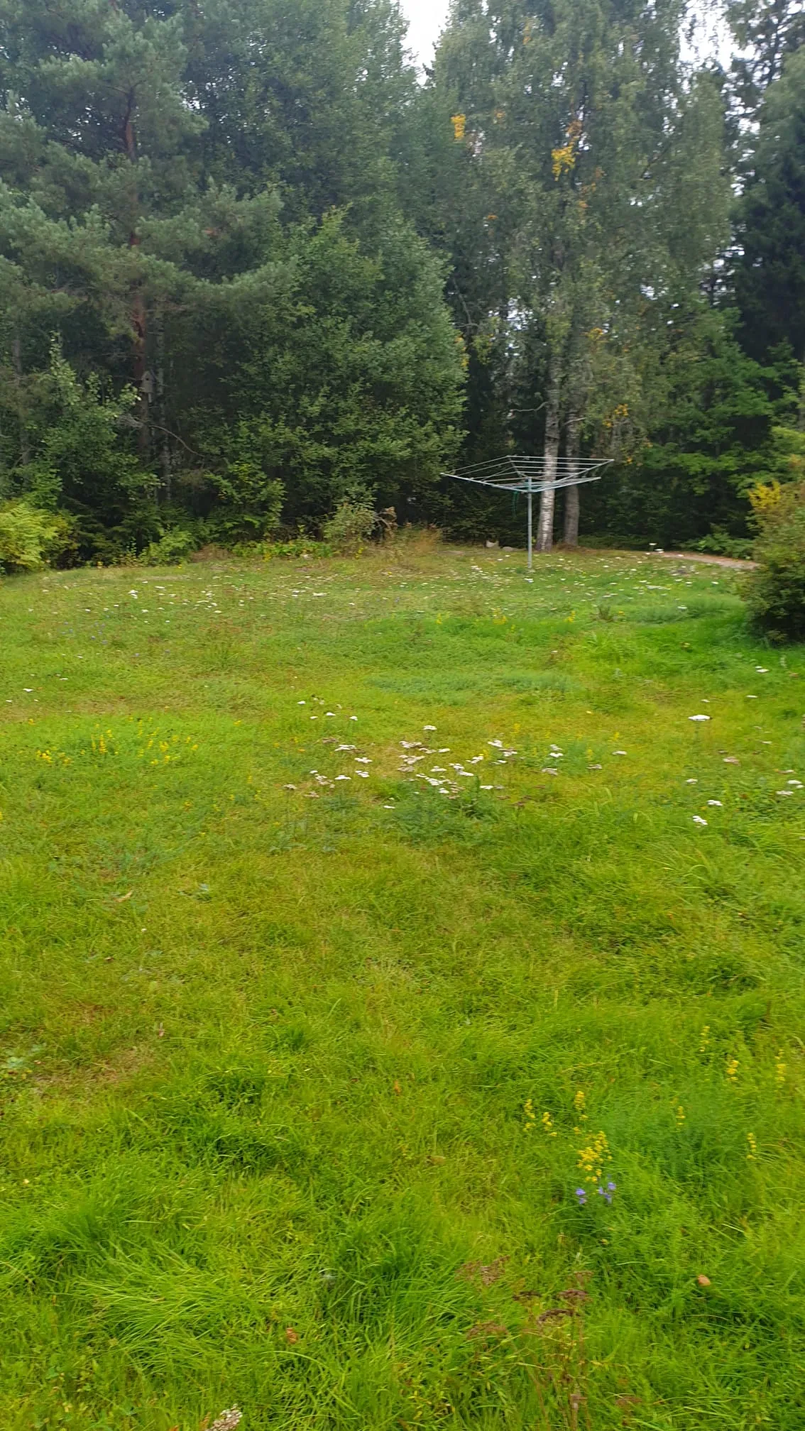 Hyresbostad på Rimbo i rimbo