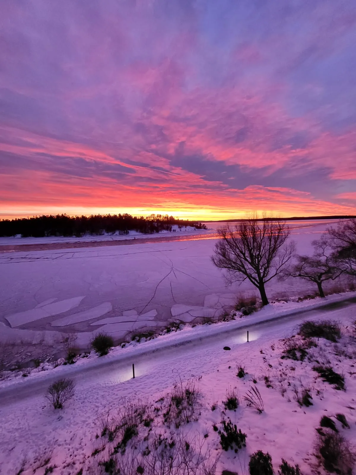 Hyreslägenhet på Hässelby i hasselby