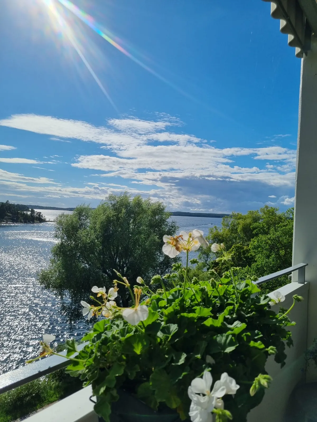 Hyreslägenhet på Hässelby i hasselby