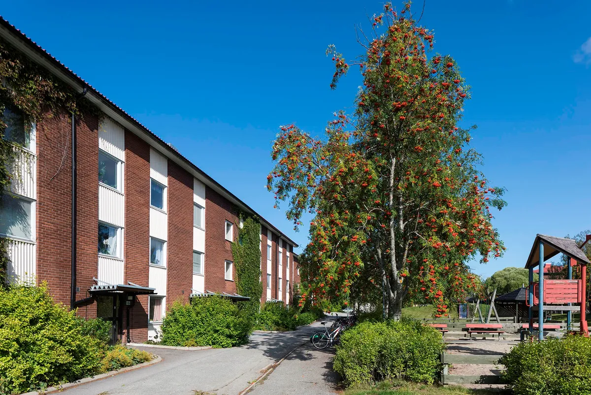 Hyreslägenhet på Umeå i umea