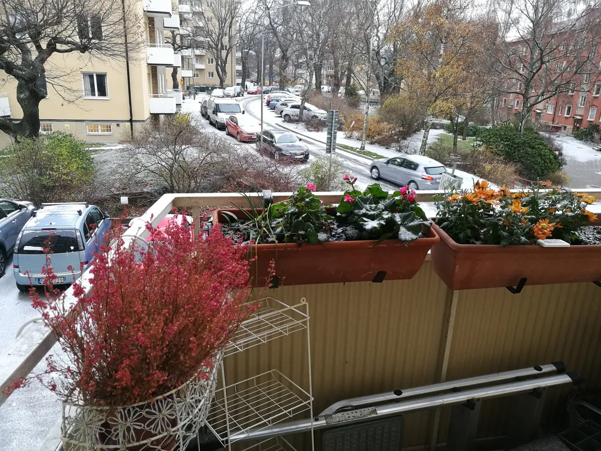 Hyreslägenhet på Stockholm i stockholm