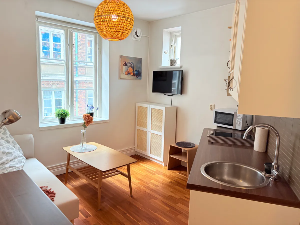 Hyreslägenhet på Helsingborg i helsingborg