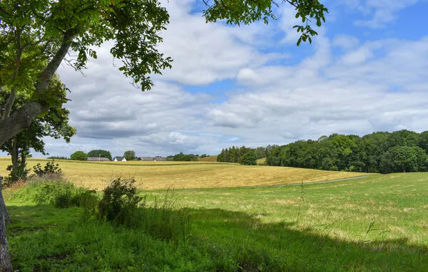 Hyreslägenhet på Tomelilla i tomelilla