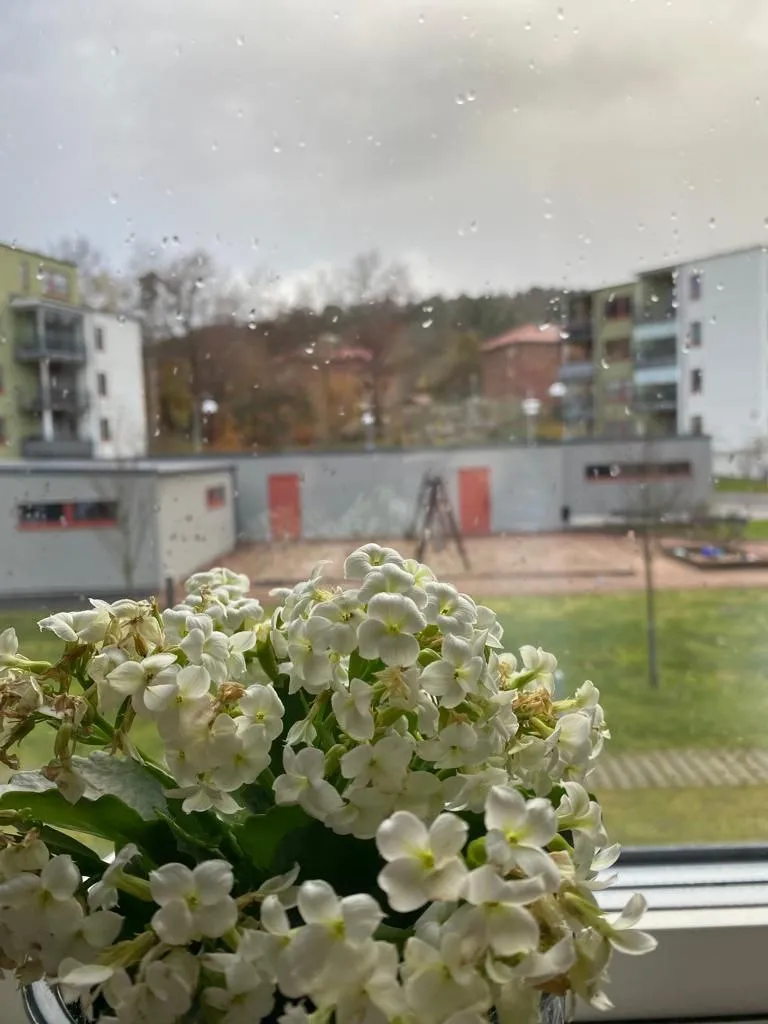 Hyreslägenhet på Göteborg i goteborg