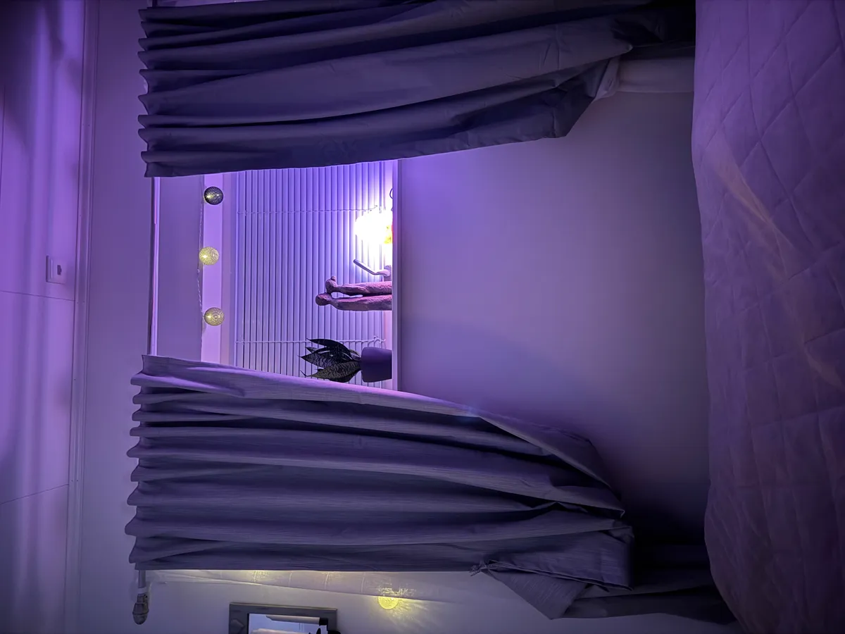 Hyresbostad på Skellefteå i skelleftea