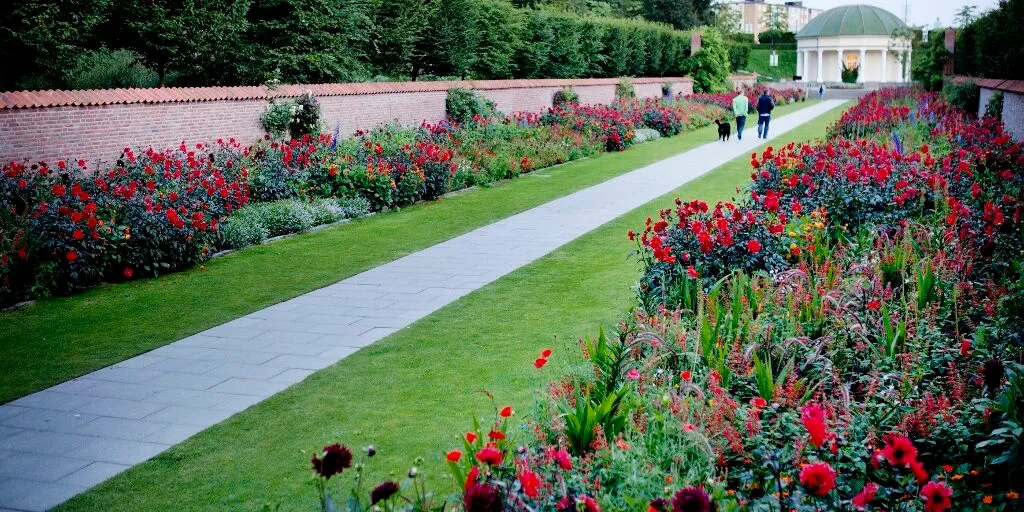 Hyreslägenhet på Malmö i malmo