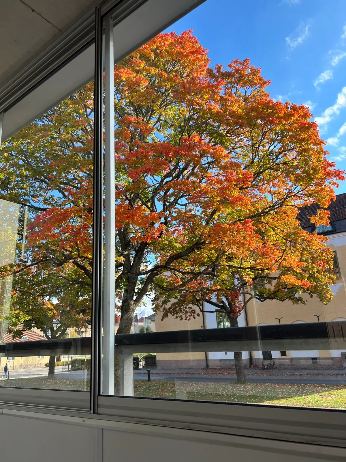 Hyreslägenhet på Uppsala i uppsala