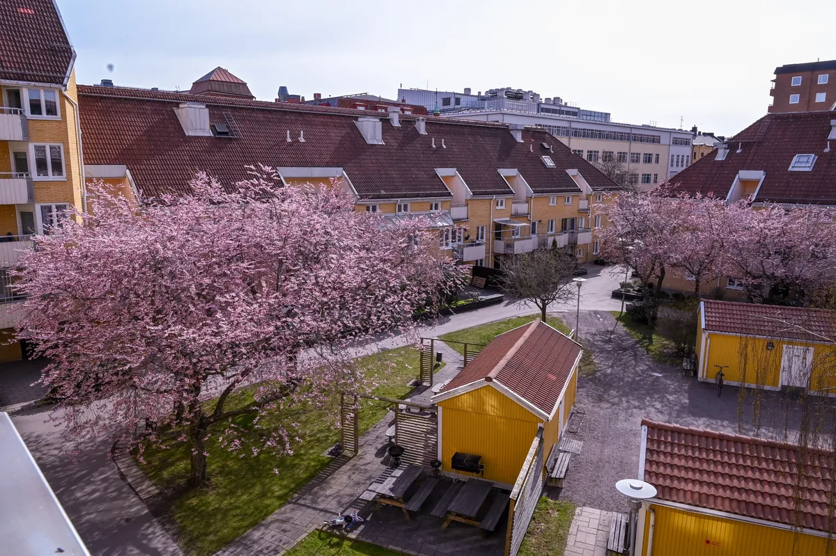 Hyreslägenhet på Norrköping i norrkoping